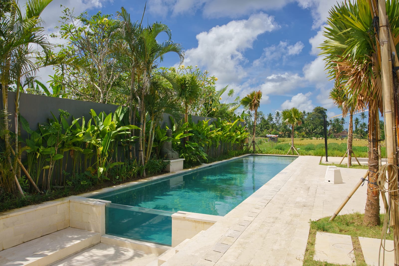 Long architectural lap pool with a sandstone deck and modern planting