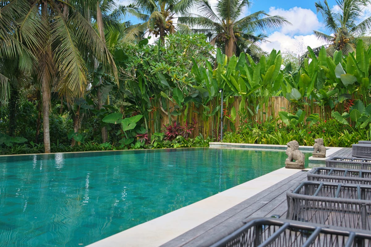 Long villa pool surrounded by palms and dense planting
