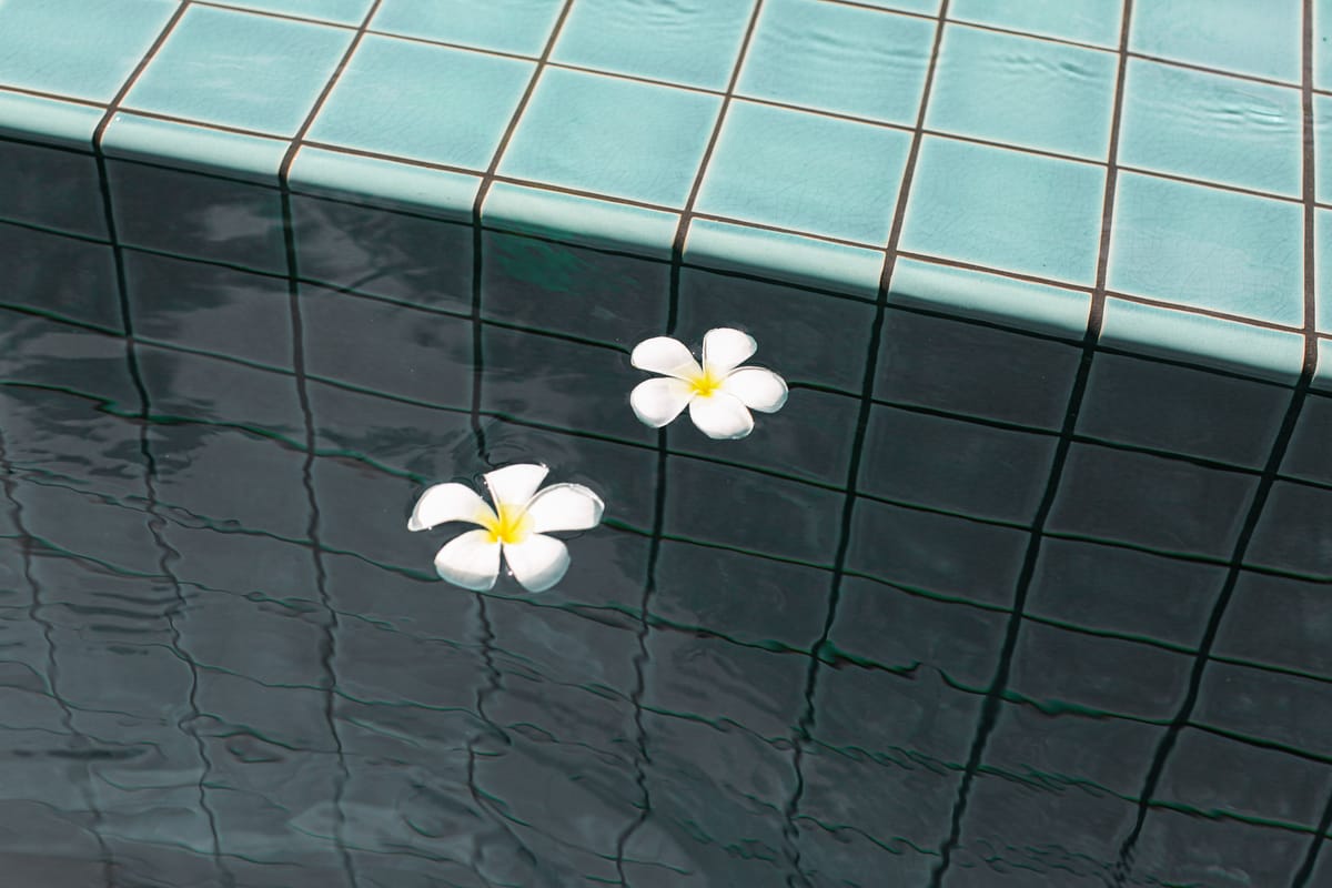 Pool tiles, coping and finish samples laid out for selection