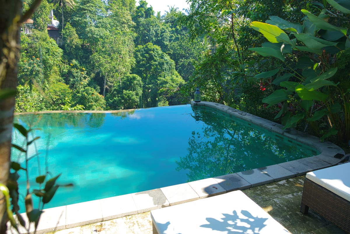 Infinity edge of a pool meeting the treetops of a green valley
