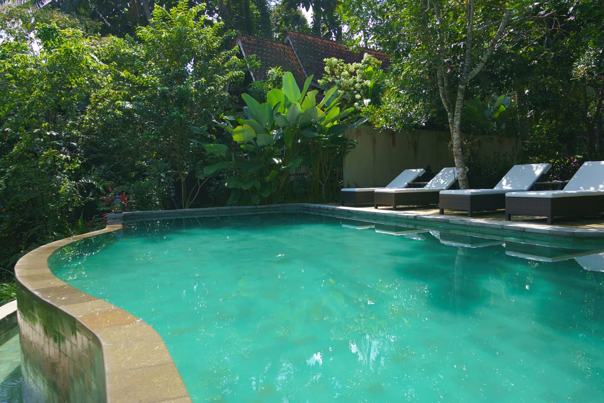 Curved infinity pool blending into the forest canopy